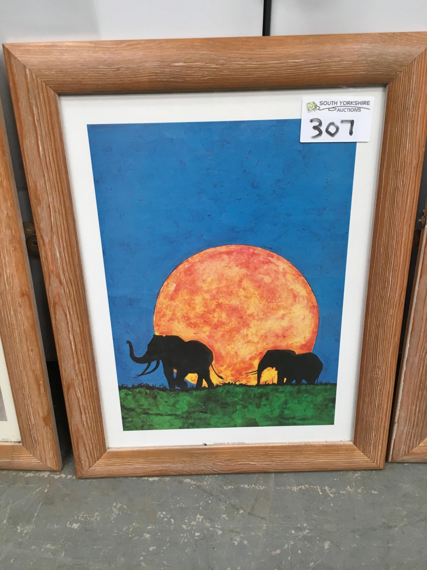 4 x Framed Elephant Pictures - Image 3 of 5