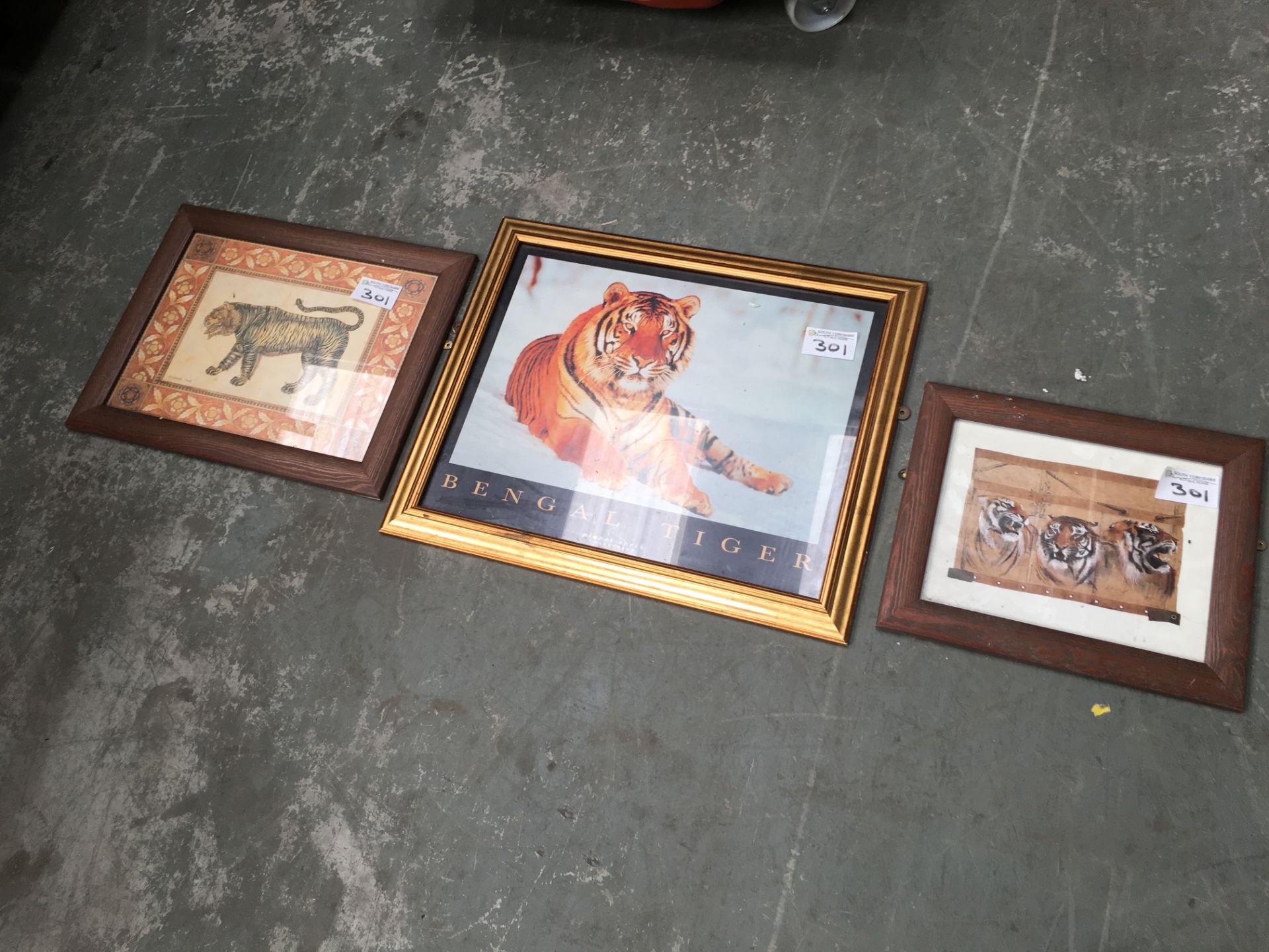 3 x Framed Pictures of Tigers