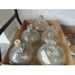 Five glass demijohns