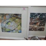 Two mixed media pictures Blue Tit I and Chaffinch, Snow Falling signed Fiona Clucas