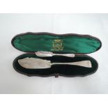 A cased Victorian silver butter knife having extensive engraved decoration and plain cartouche,