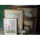 A selection of picture frames