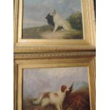 Two oil paintings, W Gregory, dog studies, Terriers, signed, 14.5'x19' and W Warren, gun dog,