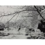 A pair of pen and ink sketches, Karl Steadman, river and woodland landscapes, each 14'x20.5'