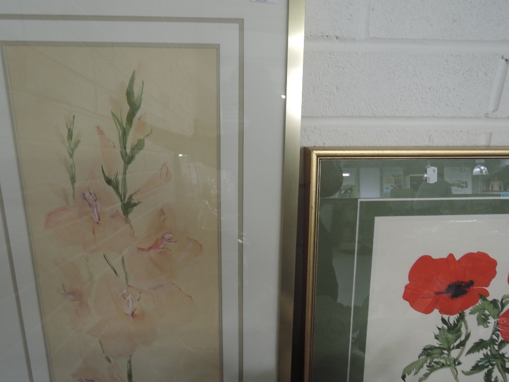 Two watercolours, Elspeth Harrigan, Poppies and Lilies