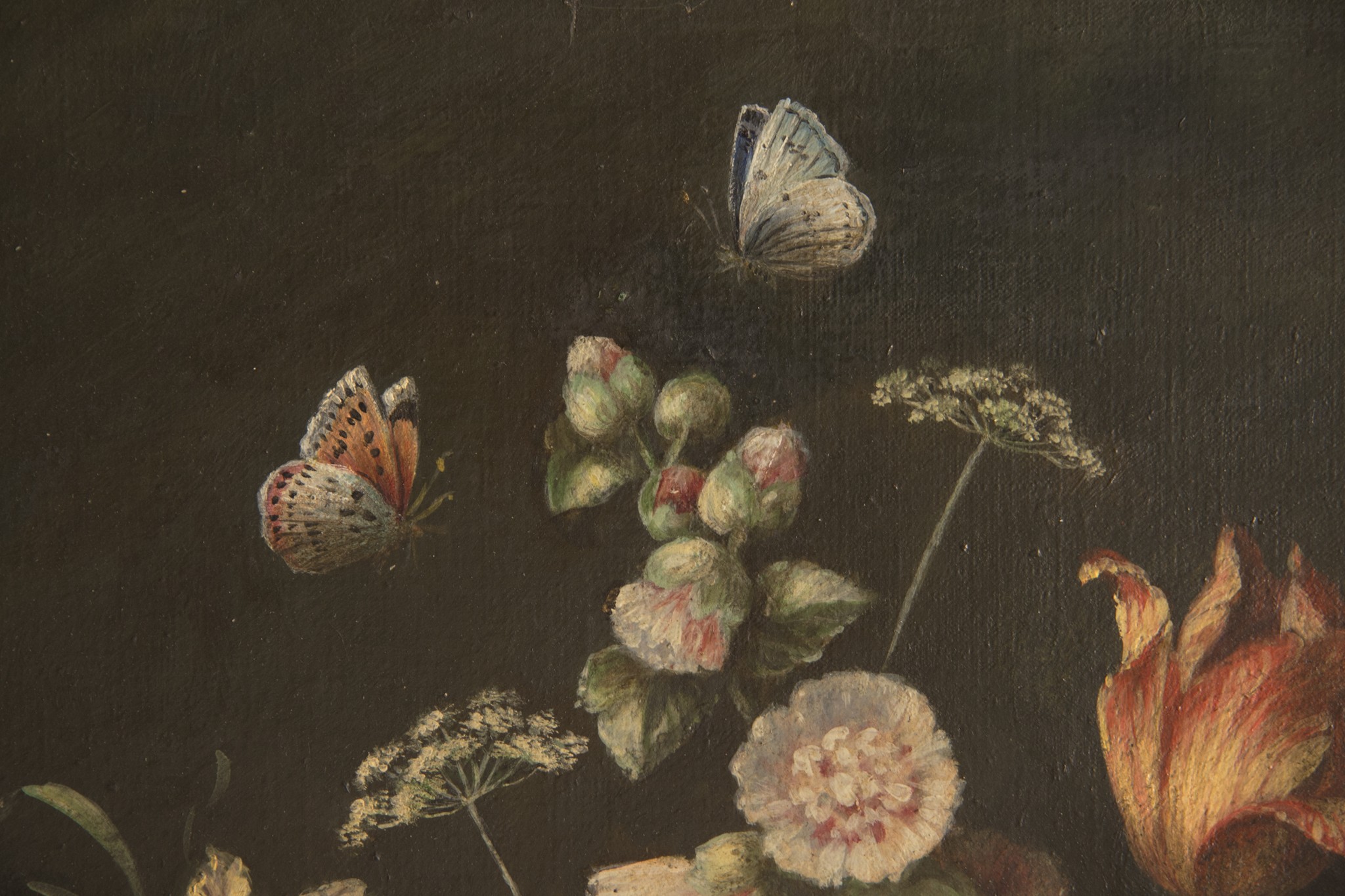 L.M.C. IRELAND (19TH/20TH CENTURY) STILL LIFE OF FLOWERS signed l.r.: L.M.C. Ireland, oil on - Image 5 of 6