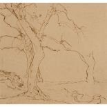 •Albert Rutherston, RWS (1881-1953) a pair of tree studies one signed and dated l.l.: Albert R/11