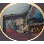 *ENGLISH SCHOOL (LATE 19TH/EARLY 20TH CENTURY) IRISH WOLFHOUND ON A WICKER CHAIR oil on paper 38