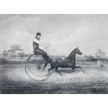 *AFTER HIND DAISY, MR. WILLIAM PEARCE'S CELEBRATED TROTTING PONY steel engraving by George Greatbach