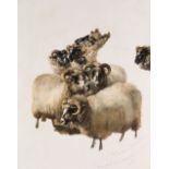 *THOMAS SIDNEY COOPER, R.A. (1803-1902) STUDY OF RAMS signed, dated, and inscribed l.r.: T. Sidney