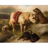 *GEORGE WILLIAM HORLOR (1823-1895) PONY, DOGS AND A RAM IN A HIGHLAND LANDSCAPE signed and dated l.