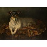 *M. CHADWICK (FL. 1910) TERRIER ON A RUG signed and dated l.r.: M. Chadwick/1910 oil on canvas 34 cm