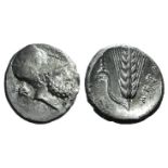 Southern Lucania, Metapontion, c. 340-330 BC. AR Stater (20mm, 7.71g, 2h). Helmeted head of