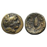 Southern Lucania, Metapontion, c. 300-250 BC. Æ (14mm, 2.64g, 9h). Head of Herakles r., wearing lion