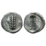 Southern Lucania, Metapontion, c. 510-470 BC. AR Stater (20mm, 7.65g, 12h). Barley ear. R/ Incuse