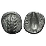 Southern Lucania, Metapontion, c. 470-440 BC. AR Diobol (9mm, 0.73g, 11h). Barley-ear with four