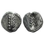 Southern Lucania, Metapontion, c. 540-510 BC. AR Obol (8mm, 0.41g, 12h). Ear of barley. R/ Incuse