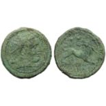 Campania, Capua, Biunx, c. 216-211 BC.; AE (g 11,69; mm 25; h 6); Diademed head of Herakles r., club