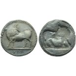 Lucania, Sybaris, Stater, c. 550-510 BC; AR (g 8,21; mm 28; h 12); Bull advancing l., head turned