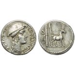 Cn. Plancius, Denarius, Rome, 55 BC; AR (g 4,21; mm 18; h 5); Female head r., wearing causia;