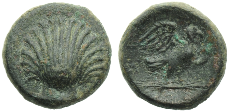 Apulia, Sturni, Bronze, c. 250-210 BC; AE (g 3,06; mm 15; hn 6); Shell, Rv. ?TY, eagle standing