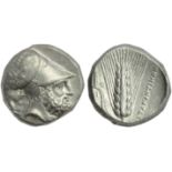 Lucania, Metapontion, Distater, c. 340-330 BC; AR (g 15,73; mm 24; h 6); Head of Leukippos r.,
