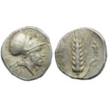 Lucania, Metapontion, Stater, c. 340-330 BC; AR (g 7,98; mm 22; h 10); Head of Tharragonas r.,