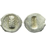 Lucania, Metapontion, Obol, c. 540-510 BC; AR (g 0,31; mm 11; 12); MET, barley ear, Rv. Same type