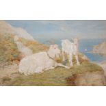 BASIL BRADLEY R.W.S (1842-1904)White Goats on Cliff topWatercolour, 45 x 72cmSigned and dated 1870