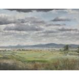 Peter Pearson (b.1955)Looking South to the Wicklow Mountains from SuttonOil on board, 41 x 53cm (