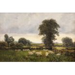 Joseph Malachy Kavanagh RHA (1856-1918)Sheep in Pastures, Kilcock, Co. DublinOil on board, 32.5 x