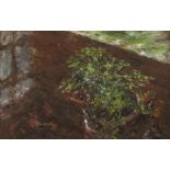 Jack Butler Yeats RHA (1871-1957)The Fern (1943)Oil on panel, 23 x 35.5cm (9 x 14)