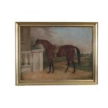 F. A. OLDMEADOW (19TH CENTURY)Study of a horse beside a balustrade Oil on canvas, 44 x 60cm Signed