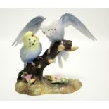 A Royal Crown Derby porcelain model of blue budgerigars perched on a branch; 5½" high.