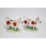 A pair of late Victorian Staffordshire pottery cow creamers, 6½" wide. (Lacking covers, one with