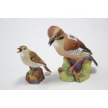 Two Royal Worcester bone china bird ornaments titled; “Jay” (No. 3248), & “Thrush” (No. 3234), the