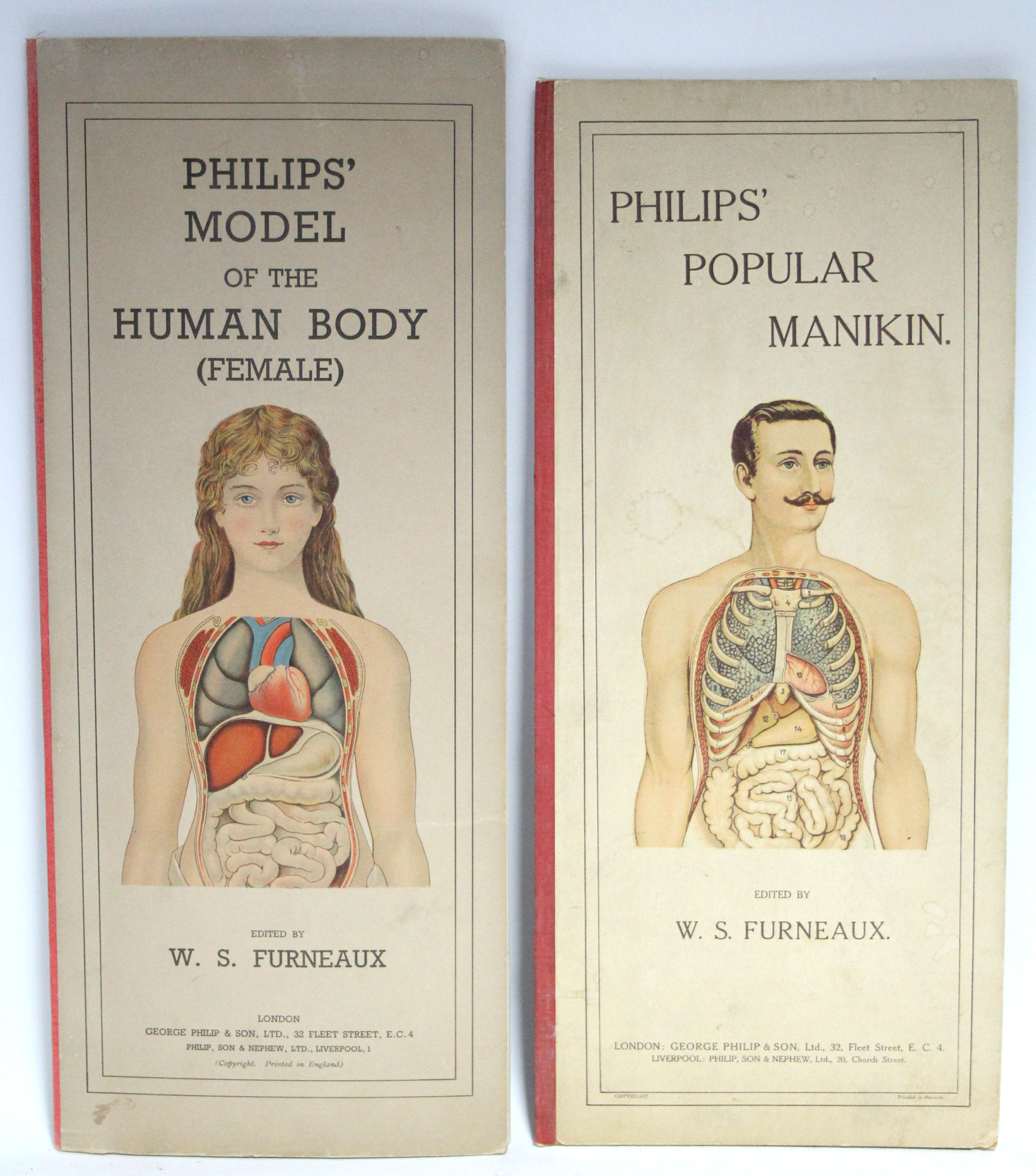 A late 19th/early 20th century volume “Philips Anatomical Model of The Female Human Body”; & a ditto