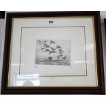 Two Limited Edition black & white etchings by Fausto Galenzzi of game birds; and five various