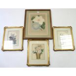 Four coloured prints, each in glazed gilt frame.