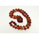 A necklace of fifty clear red amber spherical beads, with a ditto pendant carved in the form of a