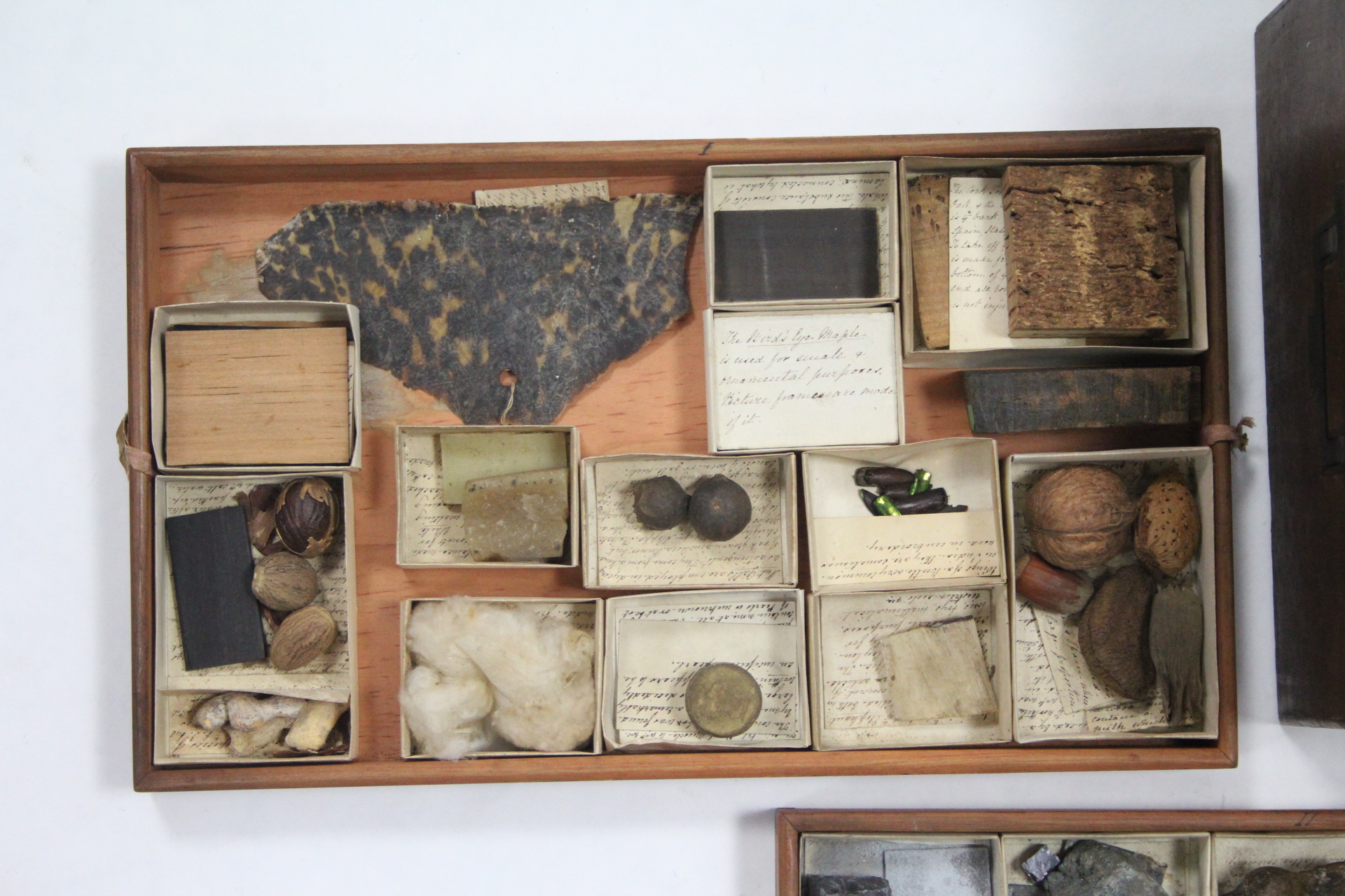 A MID-19th century MAHOGANY COLLECTOR'S CHEST fitted removable trays containing specimens of - Image 5 of 9