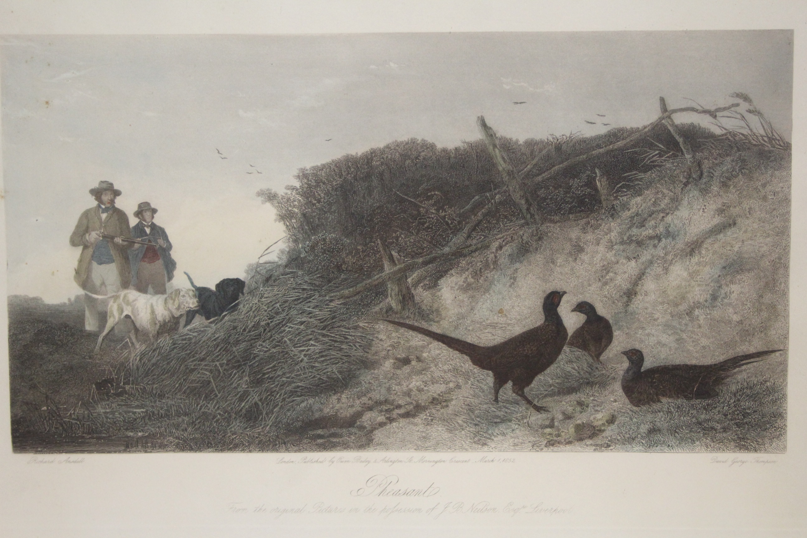 W. J. DAVEY, after RICHARD ANSDELL, Six coloured sporting engravings, with titles: Grouse; Black - Image 4 of 7