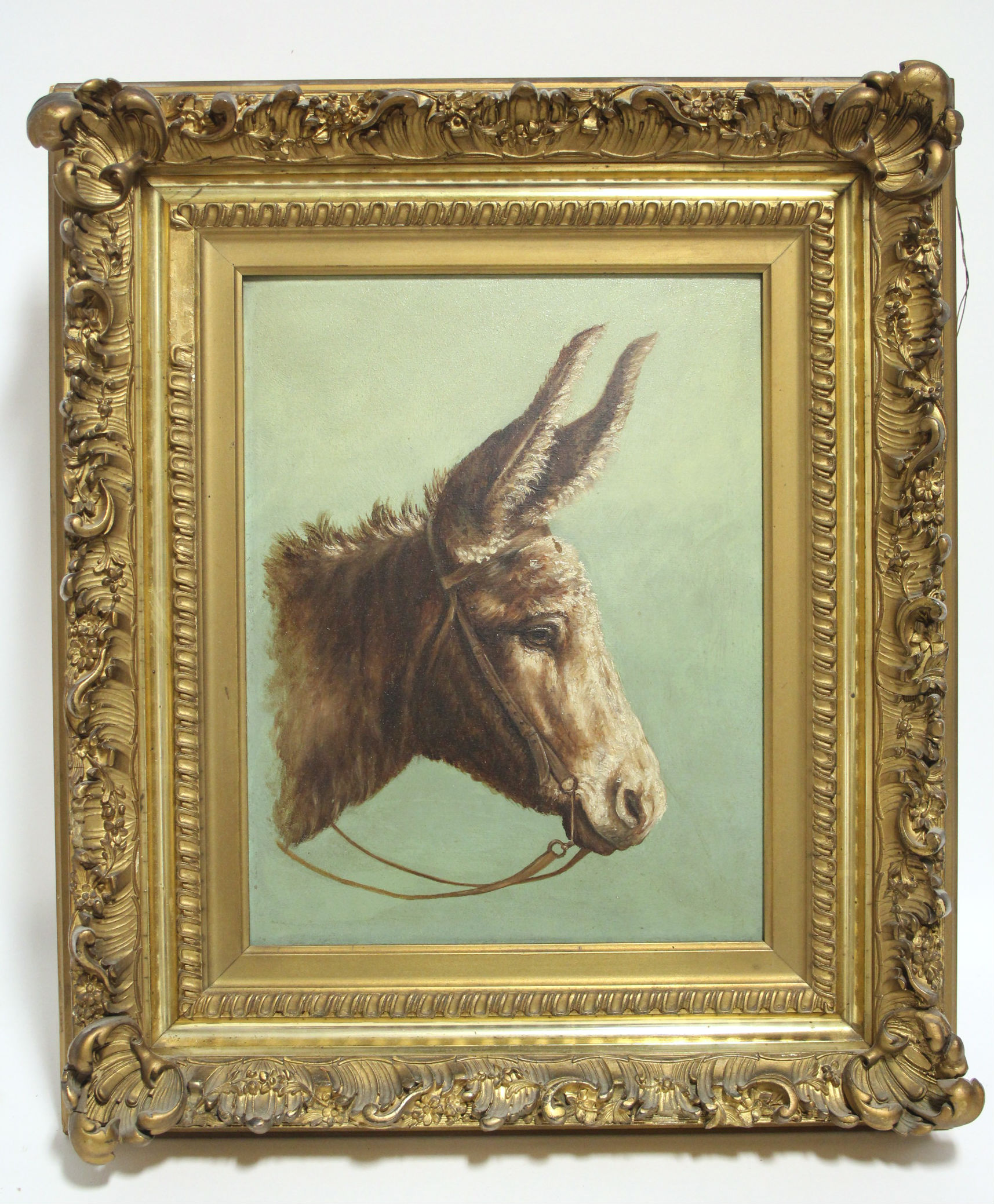 AMERICAN SCHOOL, first half 20th century. A study of the bridled head of a donkey. Oil on board: