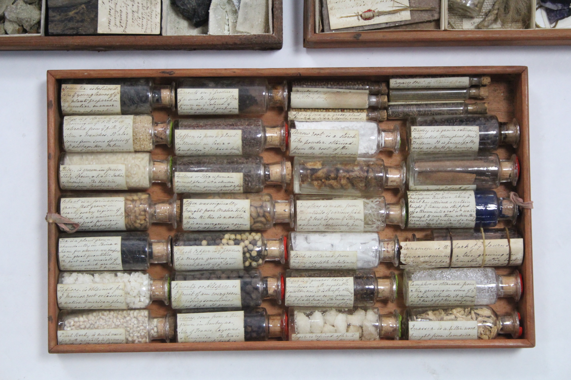 A MID-19th century MAHOGANY COLLECTOR'S CHEST fitted removable trays containing specimens of - Image 3 of 9