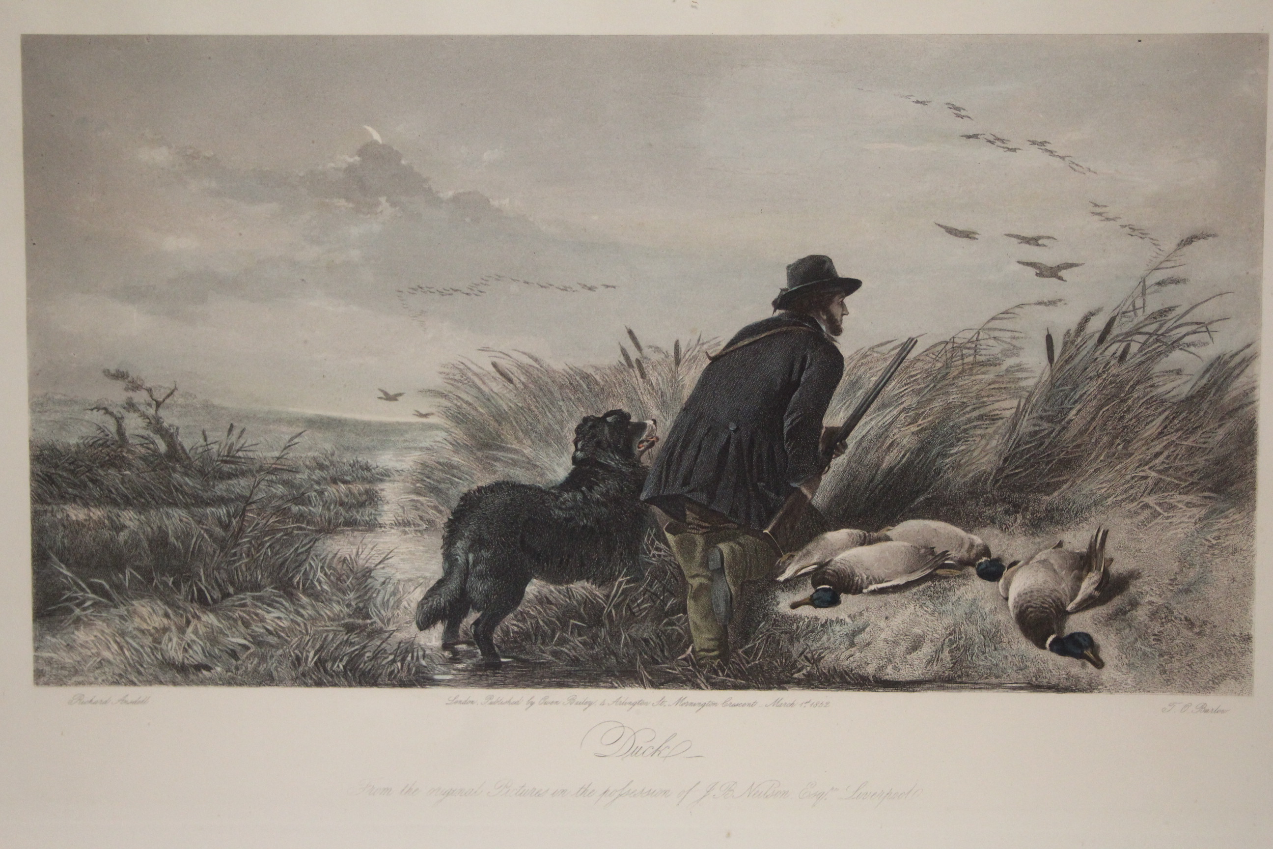 W. J. DAVEY, after RICHARD ANSDELL, Six coloured sporting engravings, with titles: Grouse; Black - Image 6 of 7