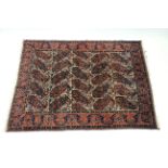 A Persian rug of ivory ground, with repeating paisley design in rust-red & blue; 6’2” x 4’9”.