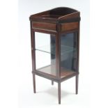 A small mahogany tray-top cabinet fitted plate-glass shelf enclosed by glazed door, with glazed