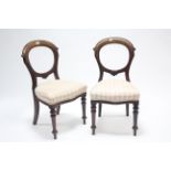 A pair of Victorian walnut balloon-back dining chairs with padded seats, & on turned tapered legs.