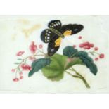 Seven early 19th century Cantonese gouache paintings on mulberry paper of flowers