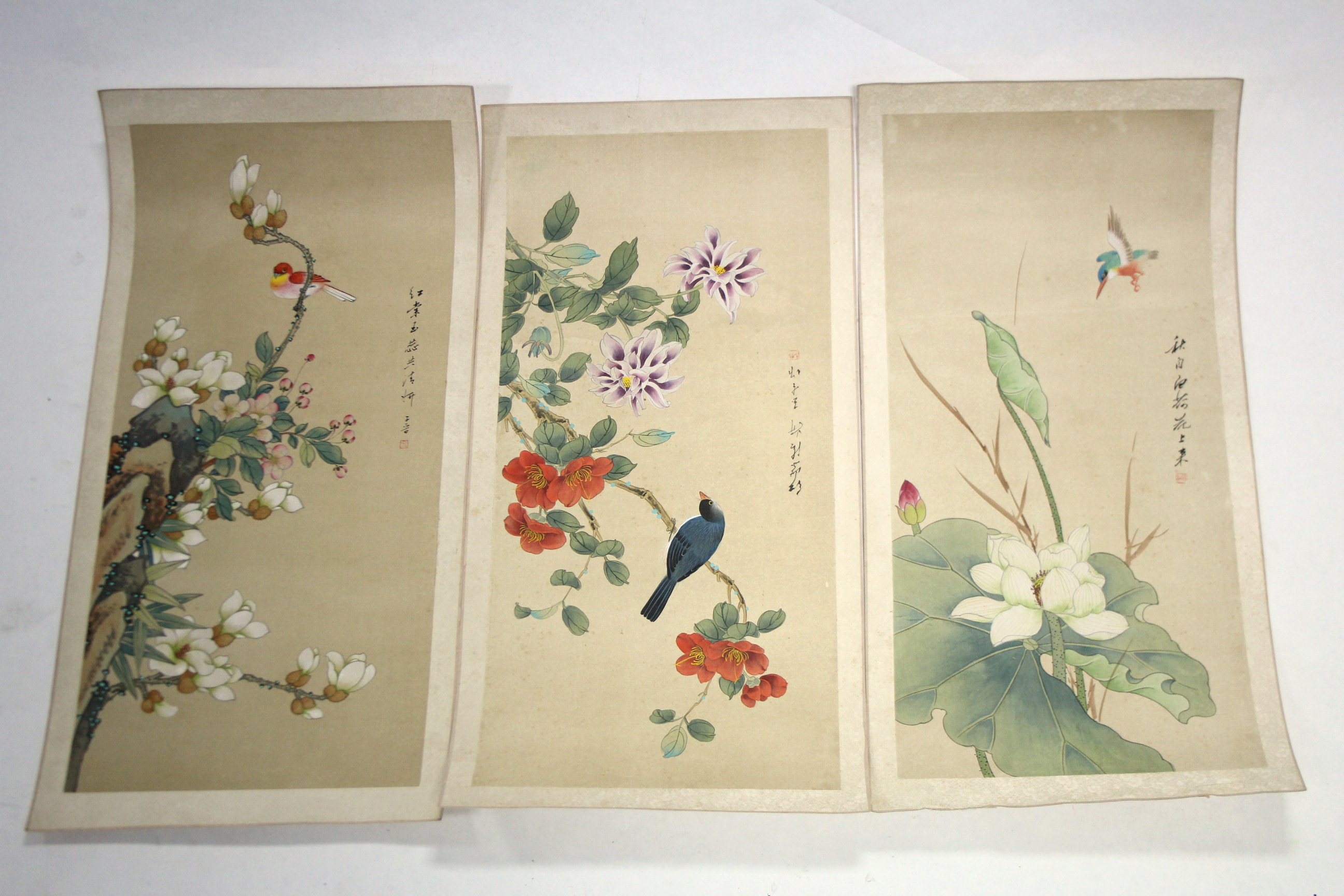 CHINESE SCHOOL A set of six scroll paintings of exotic flowers, birds, & butterflies; 26.5" x 12.5". - Image 2 of 2